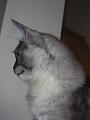 6 Mois (1)